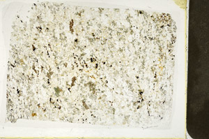 Plane Polarized, S78583