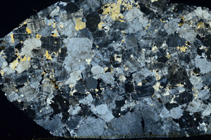 Cross Polarized, S78584