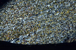 Cross Polarized, S78586