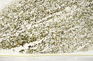 Plane Polarized, S78586