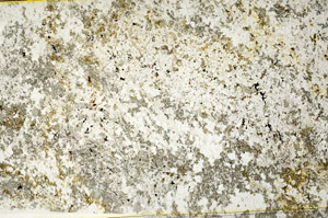 Plane Polarized, S78592