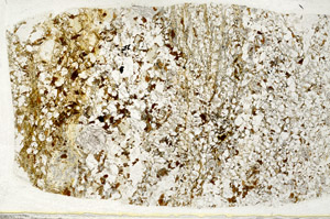 Plane Polarized, S78611