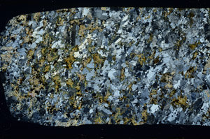 Cross Polarized, S78614