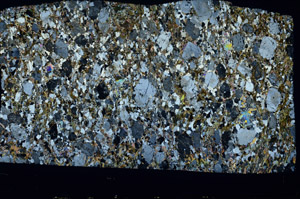 Cross Polarized, S78619