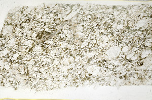 Plane Polarized, S78620