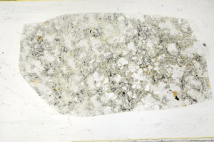 Plane Polarized, S78624