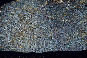 Cross Polarized, S78625