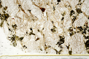 Plane Polarized, S78626