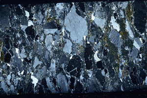 Cross Polarized, S78630