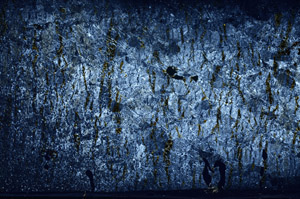 Cross Polarized, S78632