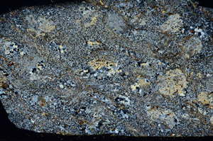 Cross Polarized, S78638