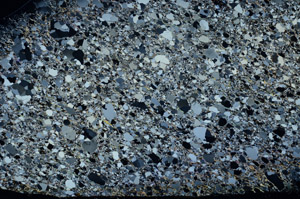 Cross Polarized, S78641