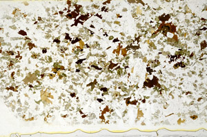 Plane Polarized, S78642