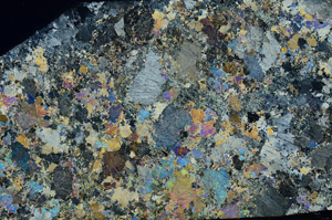 Cross Polarized, S78646