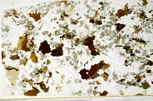 Plane Polarized, S78652