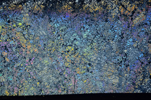 Cross Polarized, S78653