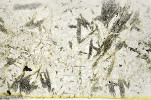 Plane Polarized, S78660