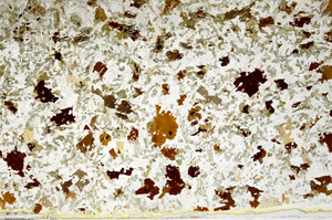 Plane Polarized, S78674