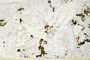 Plane Polarized, S78688