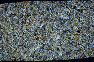 Cross Polarized, S78689