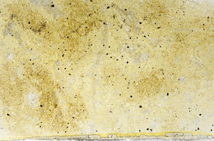 Plane Polarized, S78696