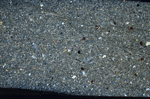 Cross Polarized, S78887