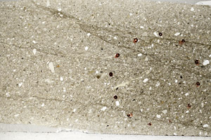 Plane Polarized, S78887