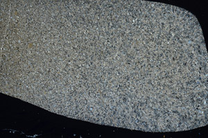 Cross Polarized, S78888