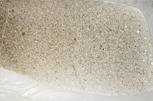 Plane Polarized, S78888