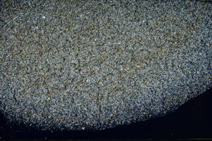 Cross Polarized, S78903