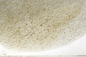 Plane Polarized, S78903