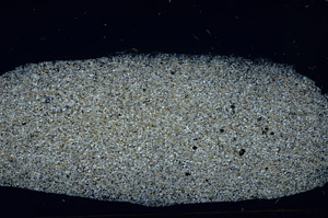 Cross Polarized, S78905