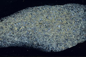 Cross Polarized, S78906