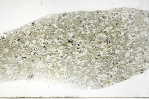 Plane Polarized, S78906