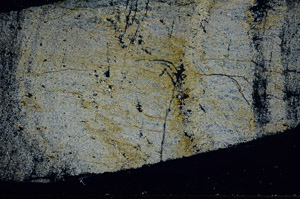 Cross Polarized, S78907