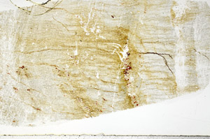 Plane Polarized, S78907