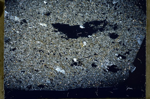 Cross Polarized, S78908