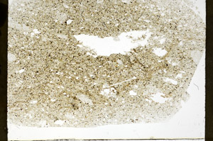 Plane Polarized, S78908