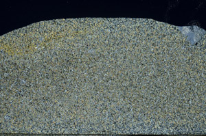 Cross Polarized, S78913