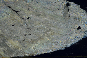 Cross Polarized, S78914