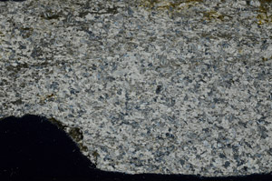 Cross Polarized, S78915