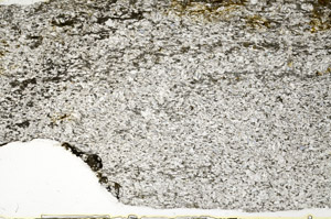 Plane Polarized, S78915