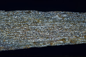 Cross Polarized, S78916