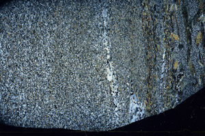 Cross Polarized, S78917