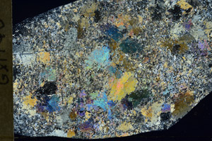 Cross Polarized, S78918