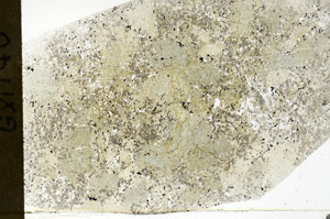 Plane Polarized, S78918