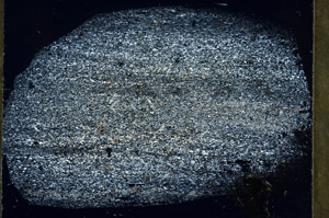 Cross Polarized, S78919