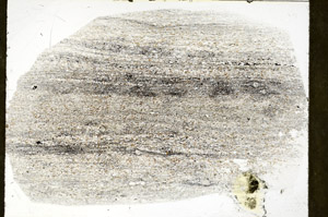 Plane Polarized, S78919