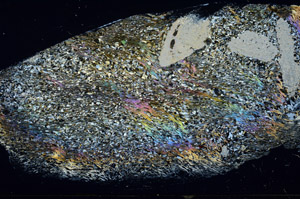 Cross Polarized, S78920