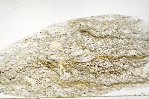 Plane Polarized, S78921